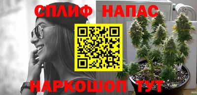 эйфоретик Шебекино