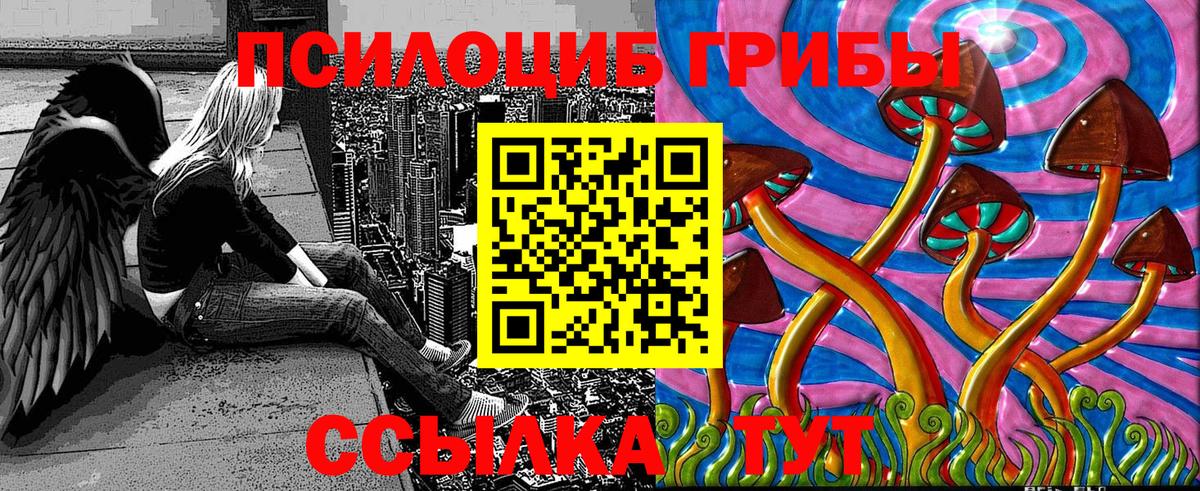Балашиха  Псилоцибиновые грибы мицелий  Вход с VPN 