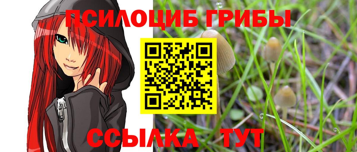 Псилоцибиновые грибы мицелий Балашиха