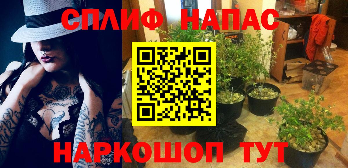 Марихуана Amnesia Балашиха